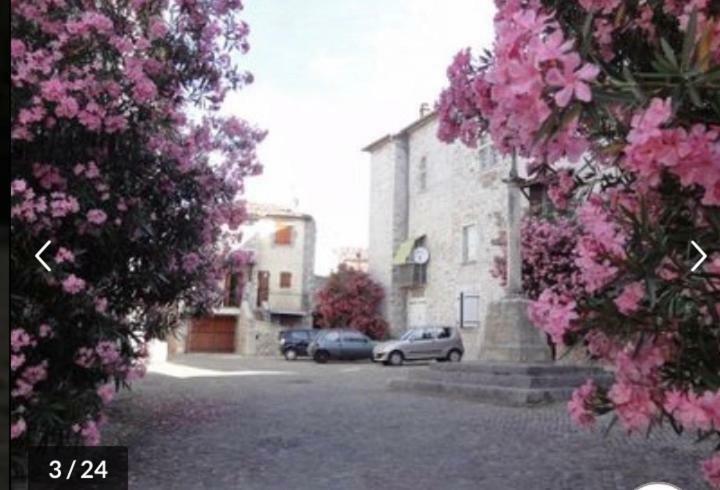 Ruoms Petite Maison 3* Centre-Village エクステリア 写真